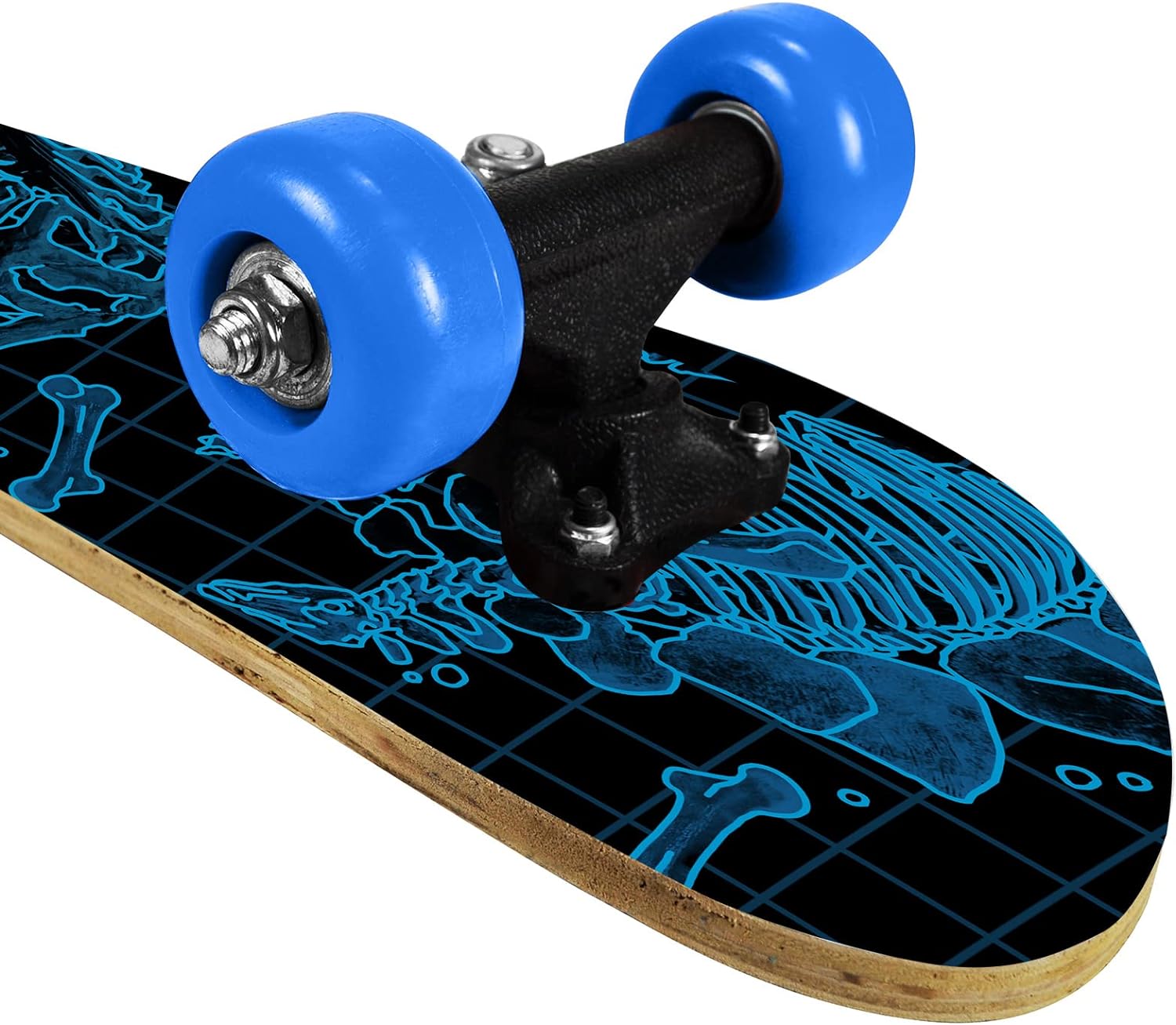 Kids Beginner Skateboard from Rude Boyz - Learn Skateboarding in Style - Mini Wooden Cruiser Board with Cool Graphics for Boys  Girls 5-9 Years - 24” Deck, 54mm Wheels, Lightweight - Safe  Durable