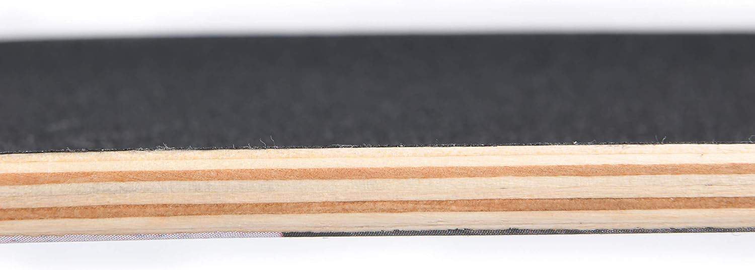 WiiSHAM Skateboards for Beginners,31 * 8 inches Complete Skateboards for Kids,Boys,Girls and Adults,7 Layer Maple Wood,Double Kick Deck Concave Standard and Tricks Skateboard