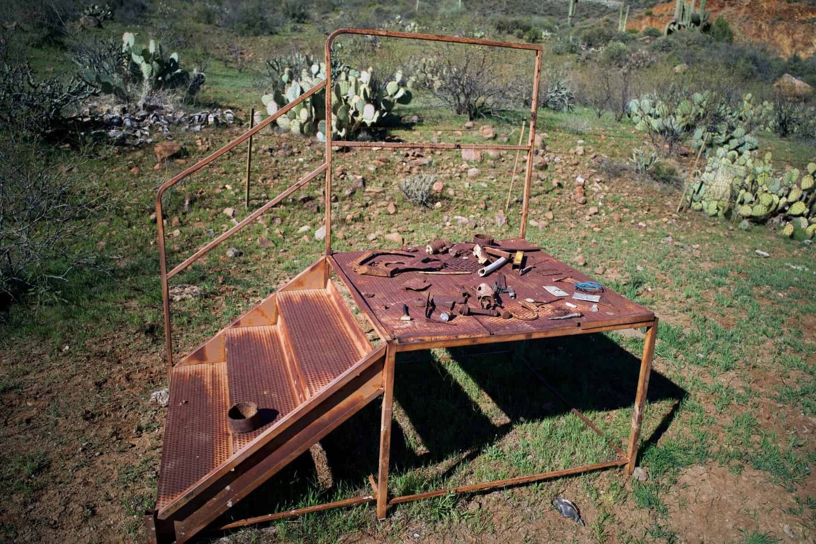 Access Breaking News on Google