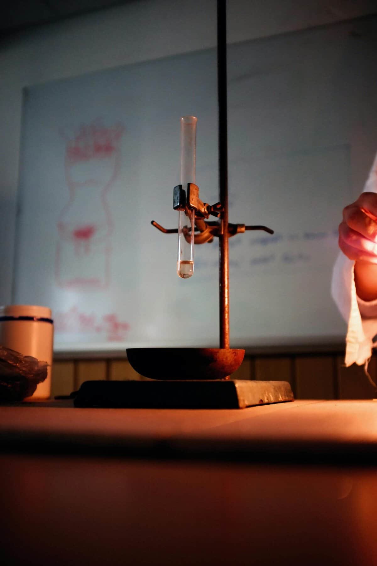 Access Science News on Google Access Science News on Google