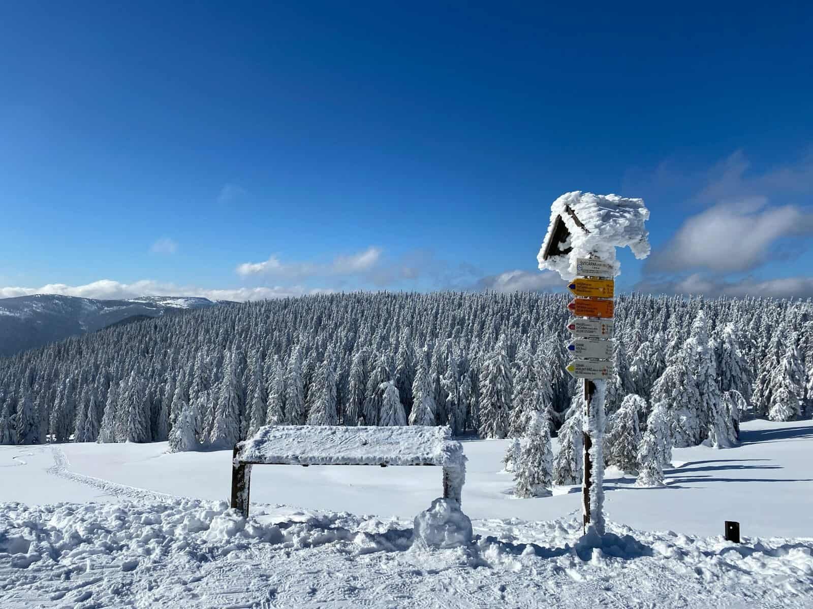 Stay Informed on World News with Google