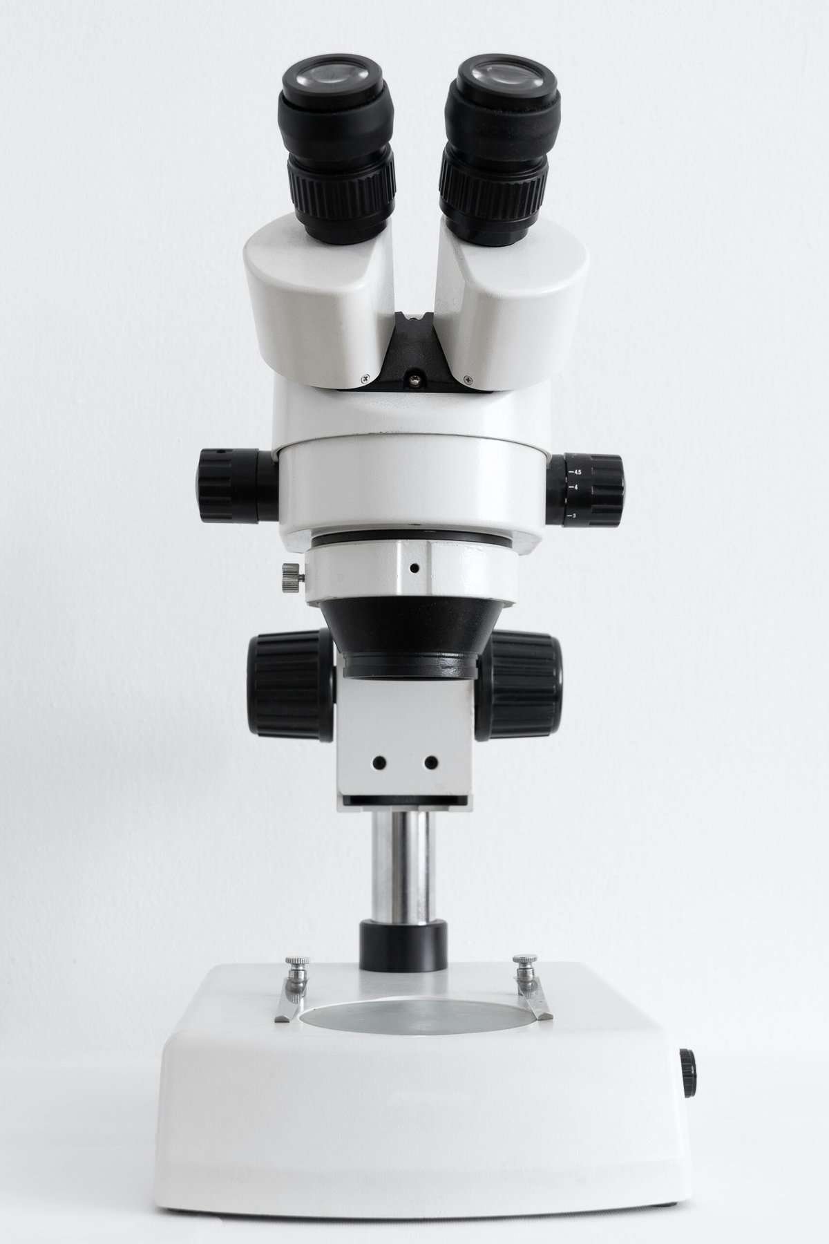 Stay Informed on Science News with Google