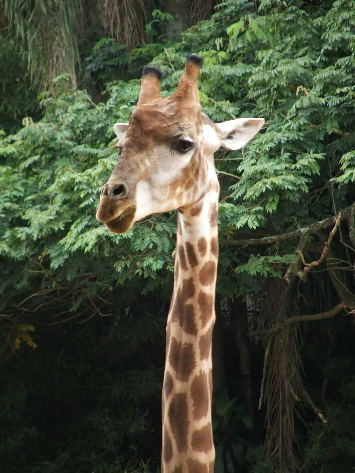 What Are The Best Places To Skateboard In Urban Areas?