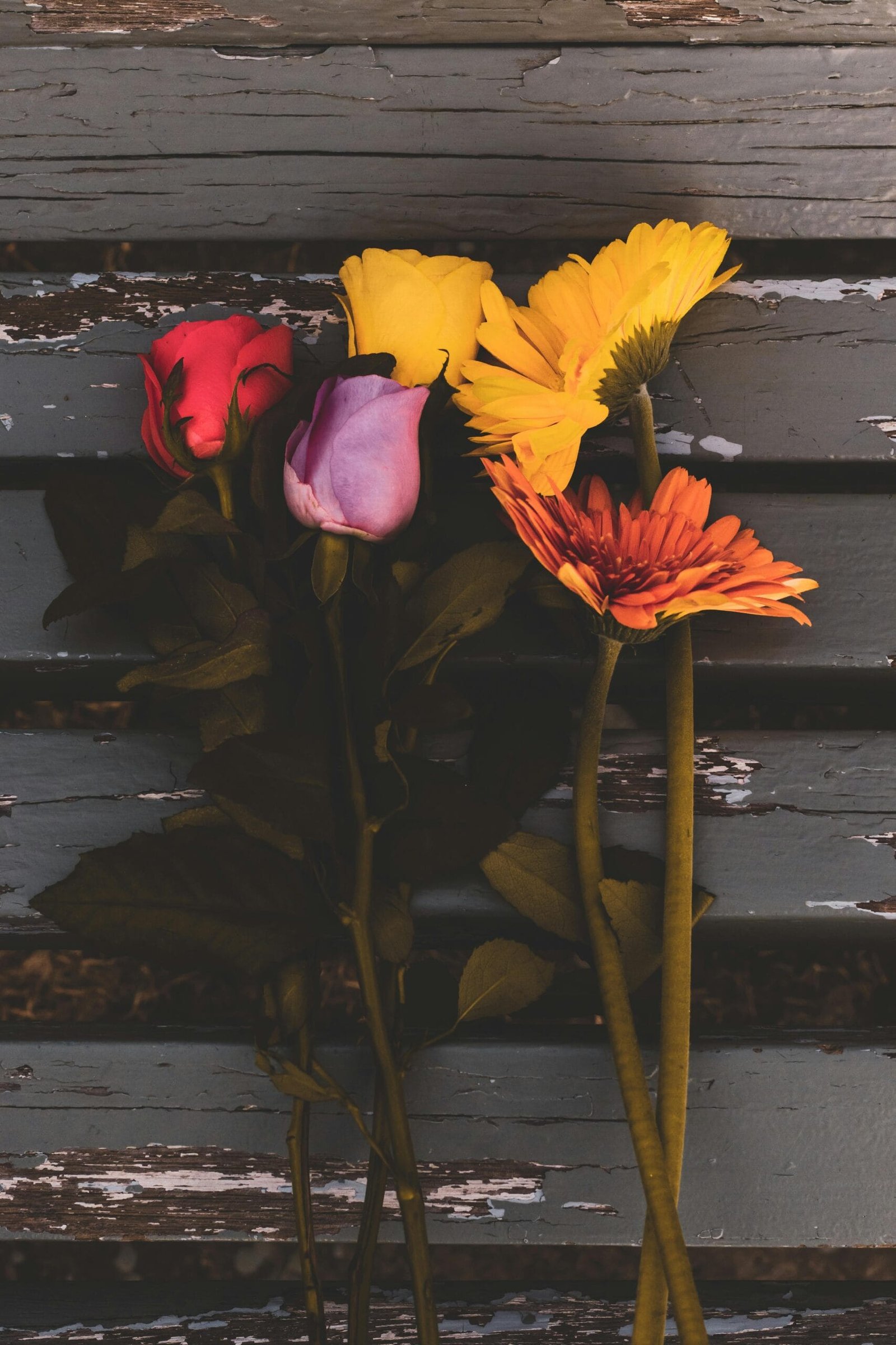 Google News Highlights Increasing Skateboarding Trends