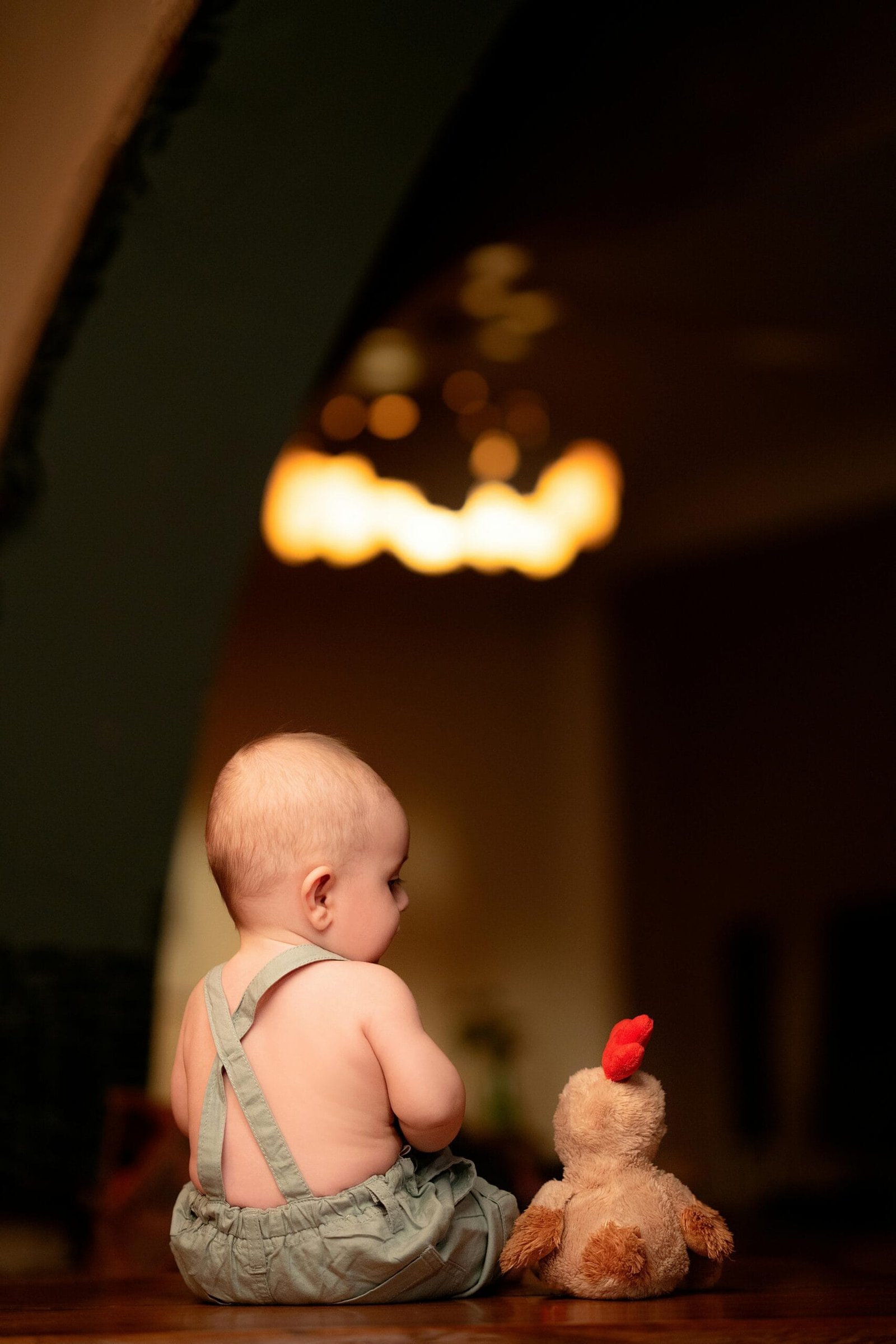 What Are The Best Bearings For A Smooth Ride? What Are The Best Bearings For A Smooth Ride?