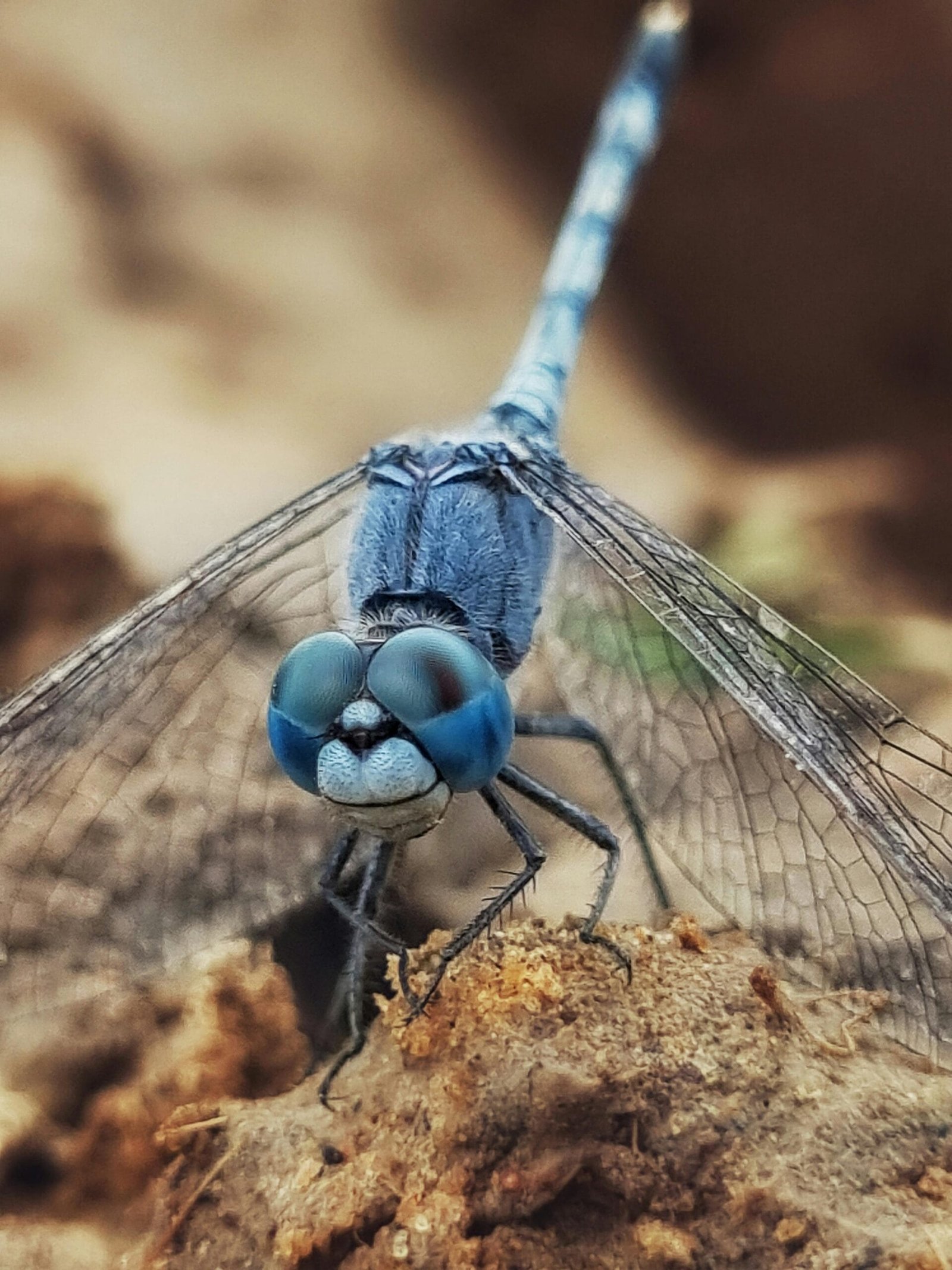 What Are The Best Tips For Skating In The Rain?