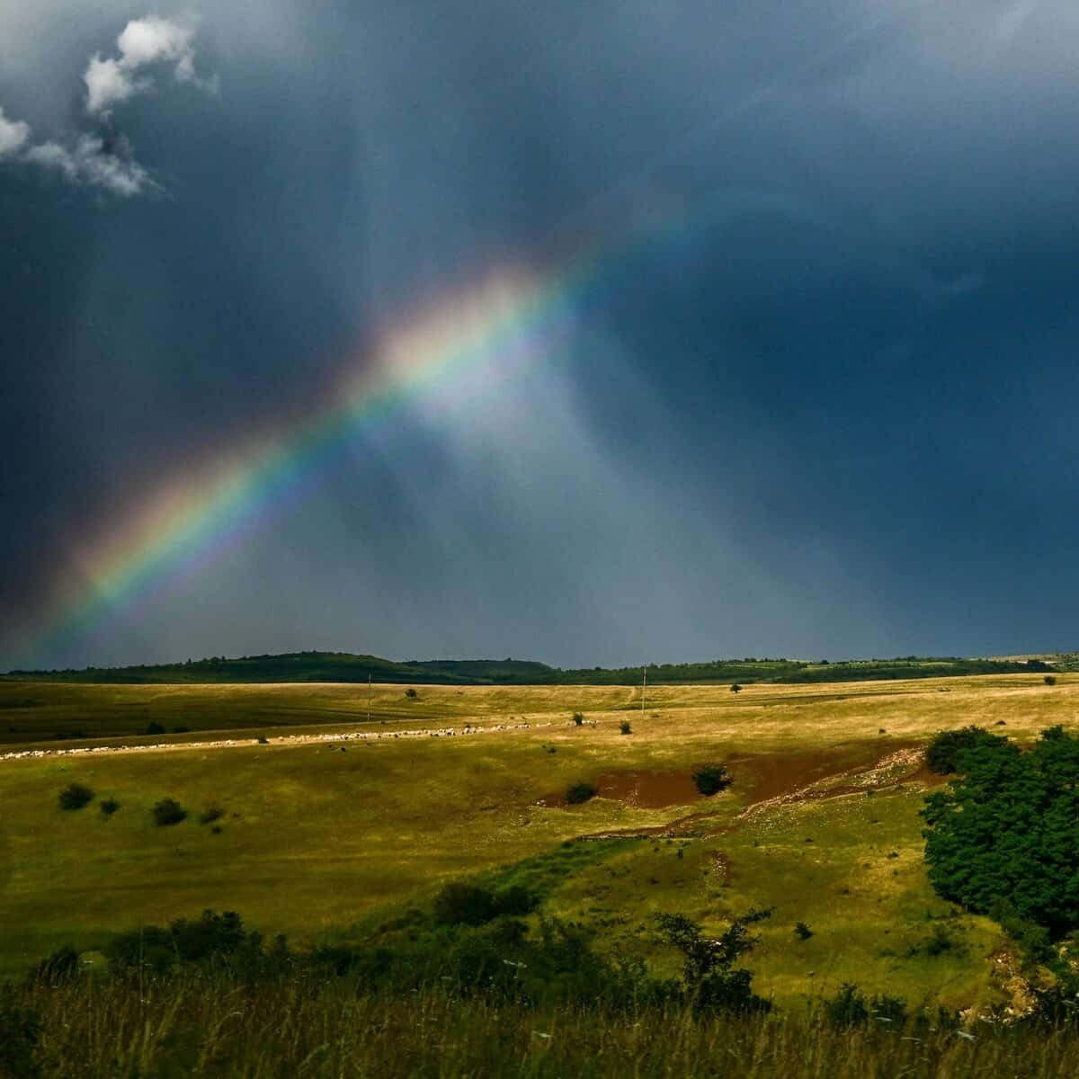 What Are The Best Tips For Skating In The Rain?