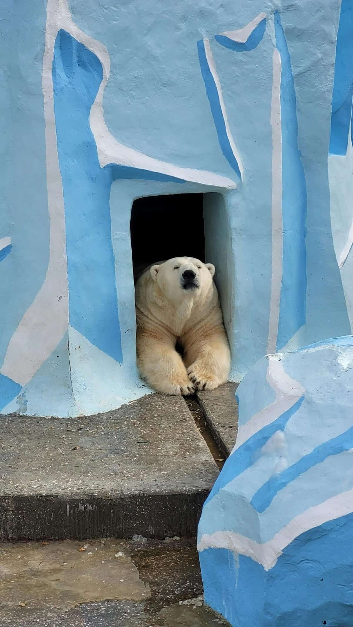 How To Replace Skateboard Bearings? How To Replace Skateboard Bearings?