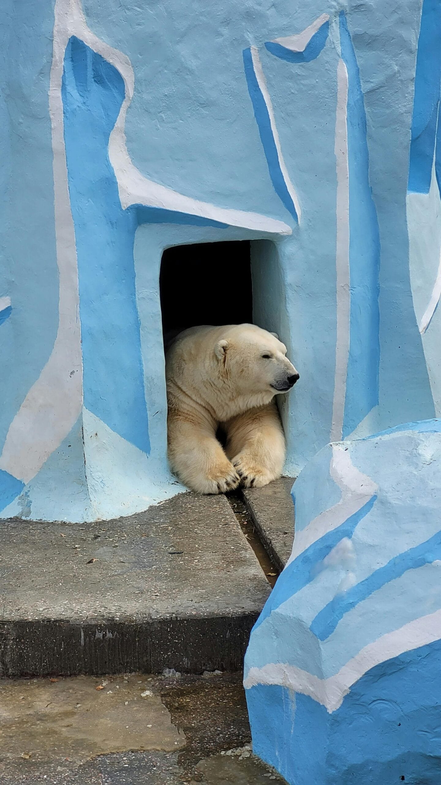 How To Replace Skateboard Bearings? How To Replace Skateboard Bearings?