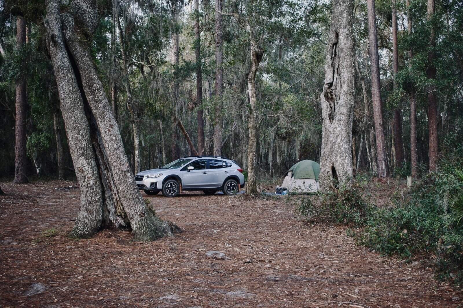 Can You Recommend Skateboard Accessories That Enhance The Overall Riding Experience?